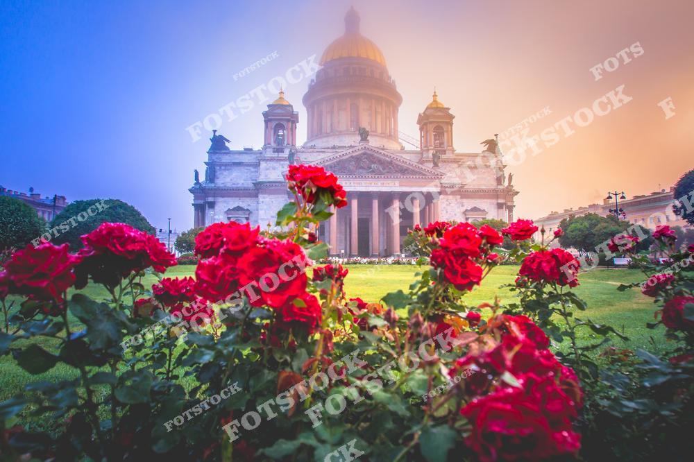 Атмосферная фотография Санкт-Петербурга ранним утром, где Исаакиевская площадь окутана густым туманом, создающим загадочное и романтичное настроение северной столицы России. На снимке величественный Исаакиевский собор возвышается среди мягкой дымки и цветочных композиций, подчеркивая архитектурную красоту исторического центра Петербурга. Фотография передает уникальную атмосферу тихого утреннего города, когда улицы еще пустынны, а туман добавляет кадру художественности и глубины. Изображение отлично подойдет для постеров, оформления интерьеров, туристических проектов, сувенирной продукции и коллекций фотографий Санкт-Петербурга.